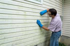 Affordable Siding Repair and Maintenance Services in Alice, TX